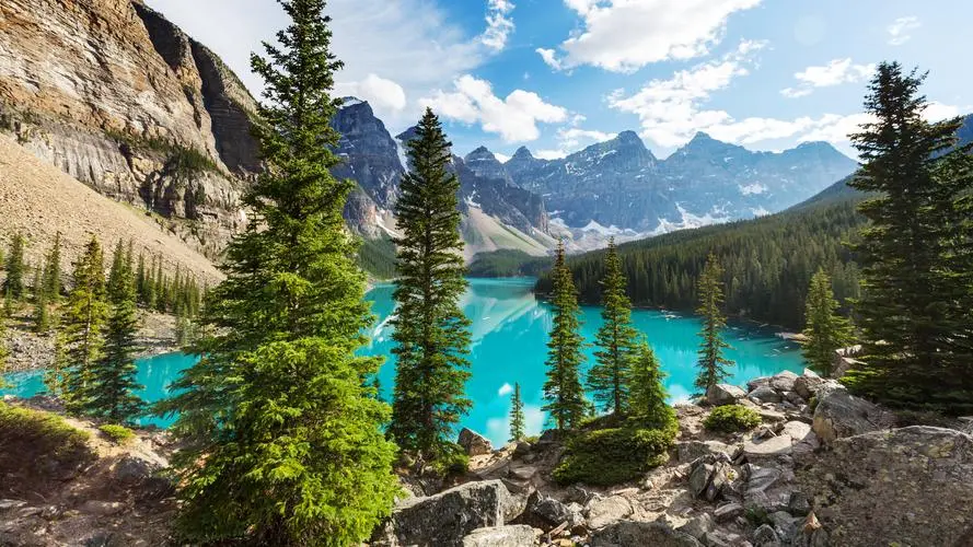 创意智能制造创新